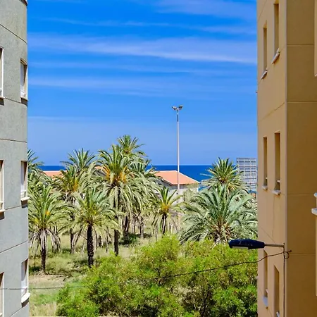 La Sal Id179 Torrevieja